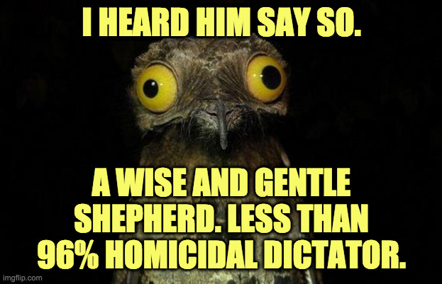 Weird Stuff I Do Potoo Meme | I HEARD HIM SAY SO. A WISE AND GENTLE
SHEPHERD. LESS THAN
96% HOMICIDAL DICTATOR. | image tagged in memes,weird stuff i do potoo | made w/ Imgflip meme maker