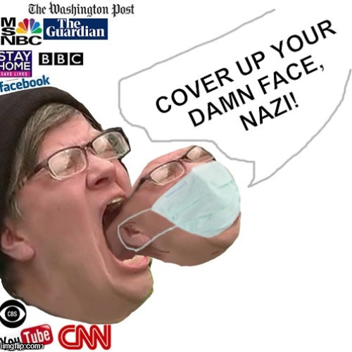 MSM weaponized SJW | image tagged in plandemic,scamdemic,covid-19,sjw,new normal,fake news | made w/ Imgflip meme maker