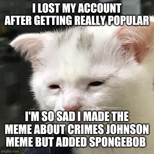 Depressed Cat | I LOST MY ACCOUNT AFTER GETTING REALLY POPULAR; I'M SO SAD I MADE THE MEME ABOUT CRIMES JOHNSON MEME BUT ADDED SPONGEBOB | image tagged in depressed cat | made w/ Imgflip meme maker