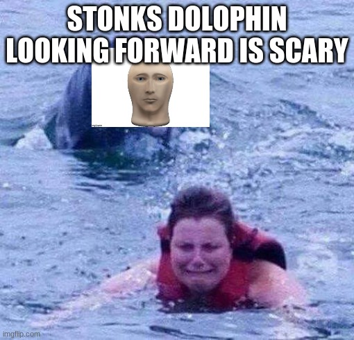 dolphin quest | STONKS DOLOPHIN LOOKING FORWARD IS SCARY | image tagged in dangerous dolphin | made w/ Imgflip meme maker