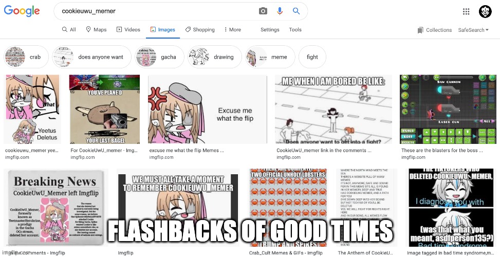 i searched up cookie, this came up. it feels so lifeless now. |  FLASHBACKS OF GOOD TIMES | image tagged in cookie_uwumemer | made w/ Imgflip meme maker