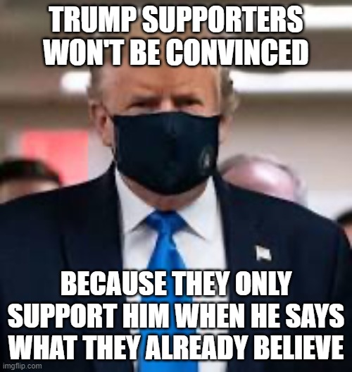 He's a puppet, not a leader | TRUMP SUPPORTERS WON'T BE CONVINCED; BECAUSE THEY ONLY SUPPORT HIM WHEN HE SAYS WHAT THEY ALREADY BELIEVE | image tagged in trump mask,covid-19,useless,puppet | made w/ Imgflip meme maker