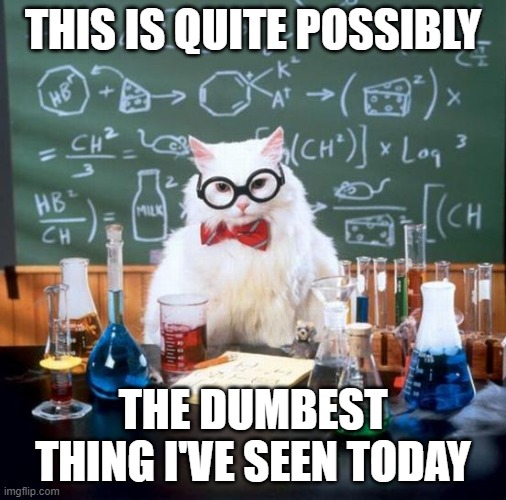 When there are so many layers of wrong you don't know where to start | THIS IS QUITE POSSIBLY; THE DUMBEST THING I'VE SEEN TODAY | image tagged in memes,chemistry cat | made w/ Imgflip meme maker