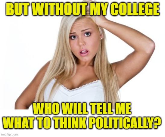 Dumb Blonde | BUT WITHOUT MY COLLEGE WHO WILL TELL ME WHAT TO THINK POLITICALLY? | image tagged in dumb blonde | made w/ Imgflip meme maker