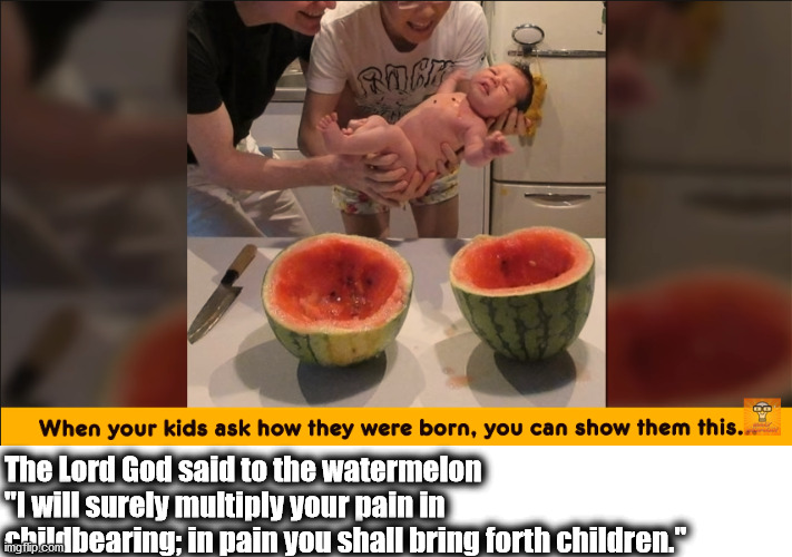 The Lord God said to the watermelon "I will surely multiply your pain in childbearing; in pain you shall bring forth children." | image tagged in genesis,blimey cow,watermelon | made w/ Imgflip meme maker