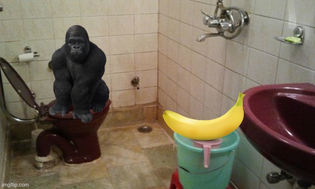 Gorilla bathroom Blank Meme Template