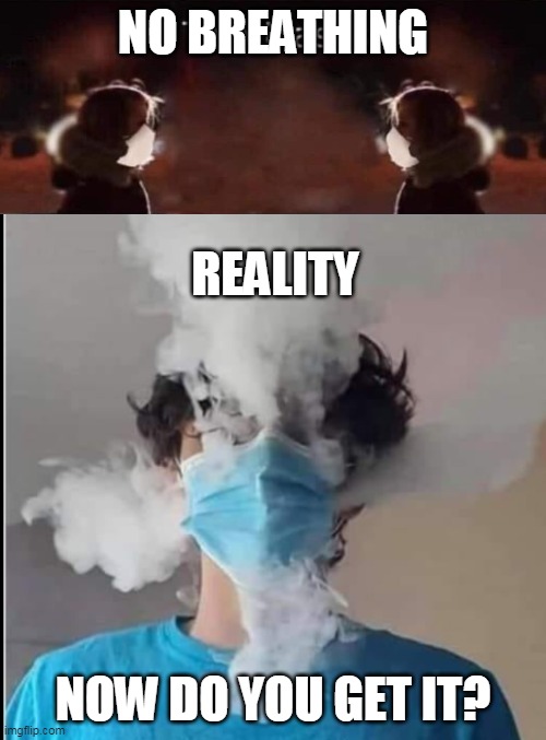 Mask reality | NO BREATHING; REALITY; NOW DO YOU GET IT? | image tagged in masks | made w/ Imgflip meme maker