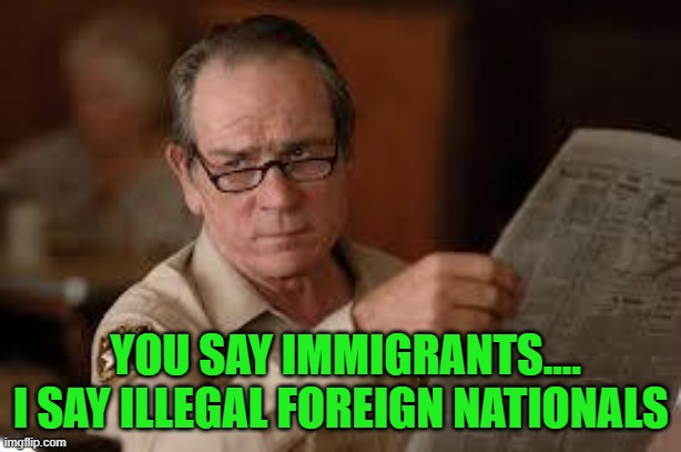 no country for old men tommy lee jones | YOU SAY IMMIGRANTS.... I SAY ILLEGAL FOREIGN NATIONALS | image tagged in no country for old men tommy lee jones | made w/ Imgflip meme maker