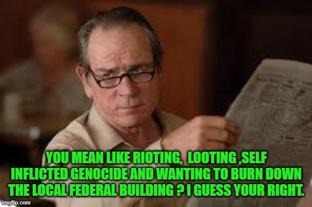 no country for old men tommy lee jones | YOU MEAN LIKE RIOTING,  LOOTING ,SELF INFLICTED GENOCIDE AND WANTING TO BURN DOWN THE LOCAL FEDERAL BUILDING ? I GUESS YOUR RIGHT. | image tagged in no country for old men tommy lee jones | made w/ Imgflip meme maker