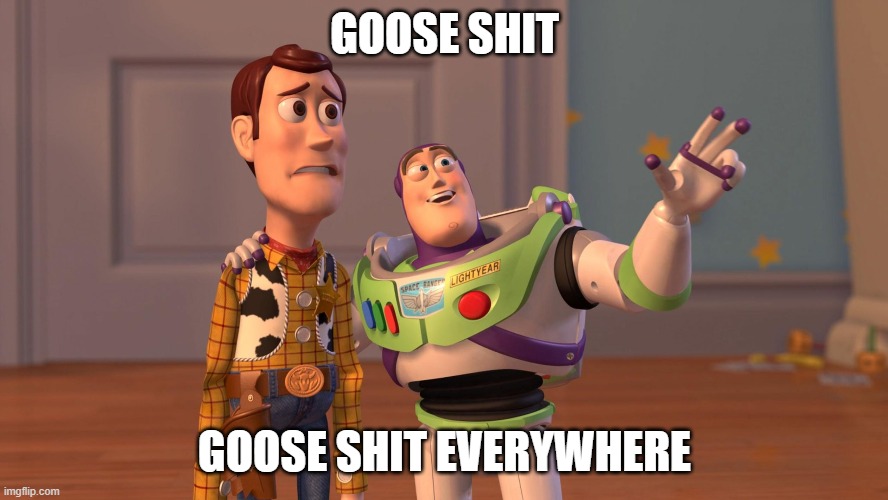 Woody and Buzz Lightyear Everywhere Widescreen | GOOSE SHIT; GOOSE SHIT EVERYWHERE | image tagged in woody and buzz lightyear everywhere widescreen | made w/ Imgflip meme maker