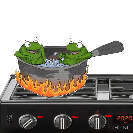 boiling frogs Blank Meme Template