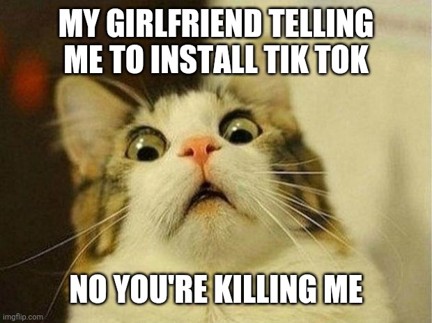 Scared Cat Meme | MY GIRLFRIEND TELLING ME TO INSTALL TIK TOK; NO YOU'RE KILLING ME | image tagged in memes,scared cat | made w/ Imgflip meme maker