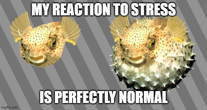 Pufferfish Stress | MY REACTION TO STRESS; IS PERFECTLY NORMAL | image tagged in fish,stress | made w/ Imgflip meme maker