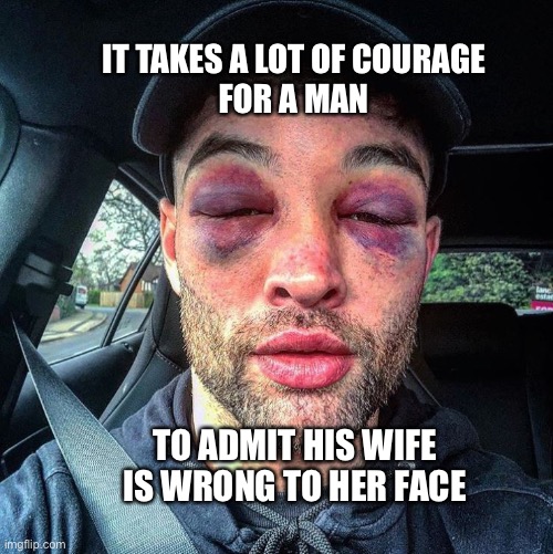 She was still wrong | IT TAKES A LOT OF COURAGE
FOR A MAN; TO ADMIT HIS WIFE IS WRONG TO HER FACE | image tagged in black eye,wife,husband,fight,wrong,meme | made w/ Imgflip meme maker