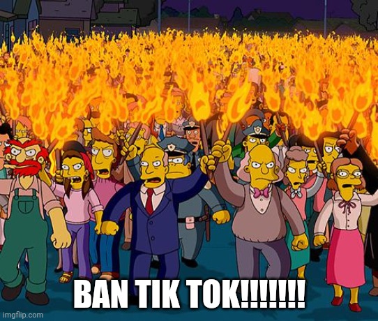 angry mob | BAN TIK TOK!!!!!!! | image tagged in angry mob | made w/ Imgflip meme maker