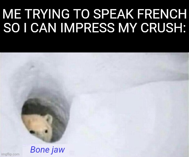 Bonjour Bear | ME TRYING TO SPEAK FRENCH SO I CAN IMPRESS MY CRUSH:; Bone jaw | image tagged in bonjour bear,french,language,crush | made w/ Imgflip meme maker