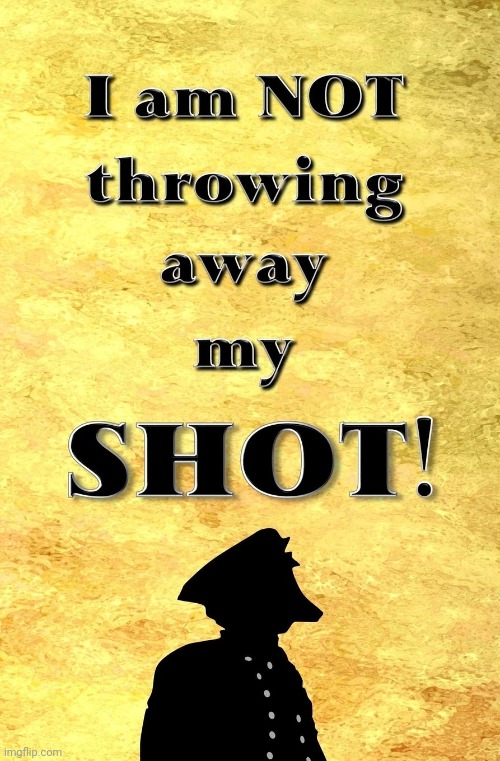I  am not throwing away my shot | image tagged in i am not throwing away my shot | made w/ Imgflip meme maker