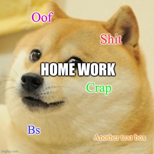 Doge Meme | Oof; Shit; HOME WORK; Crap; Bs; Another text box | image tagged in memes,doge | made w/ Imgflip meme maker