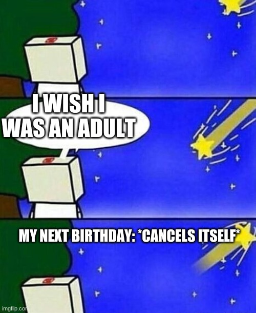 I'll never grow up again | I WISH I WAS AN ADULT; MY NEXT BIRTHDAY: *CANCELS ITSELF* | image tagged in falling star wish desire disappointment | made w/ Imgflip meme maker