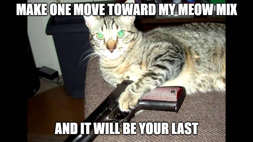 I'd listen to him | MAKE ONE MOVE TOWARD MY MEOW MIX; AND IT WILL BE YOUR LAST | image tagged in cats,guns,memes,fun,funny,funny memes | made w/ Imgflip meme maker