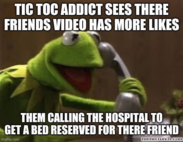 Kermit The Frog At Phone | TIC TOC ADDICT SEES THERE FRIENDS VIDEO HAS MORE LIKES; THEM CALLING THE HOSPITAL TO GET A BED RESERVED FOR THERE FRIEND | image tagged in kermit the frog at phone | made w/ Imgflip meme maker