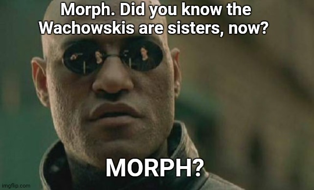 Matrix Morpheus Meme | Morph. Did you know the Wachowskis are sisters, now? MORPH? | image tagged in memes,matrix morpheus | made w/ Imgflip meme maker