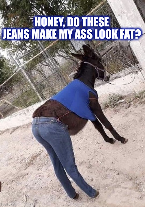 Does it? | HONEY, DO THESE JEANS MAKE MY ASS LOOK FAT? | image tagged in donkey,jeans,fat,ass,memes,funny | made w/ Imgflip meme maker