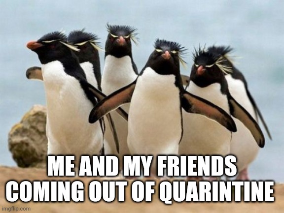 Penguin Gang Meme | ME AND MY FRIENDS COMING OUT OF QUARINTINE | image tagged in memes,penguin gang | made w/ Imgflip meme maker