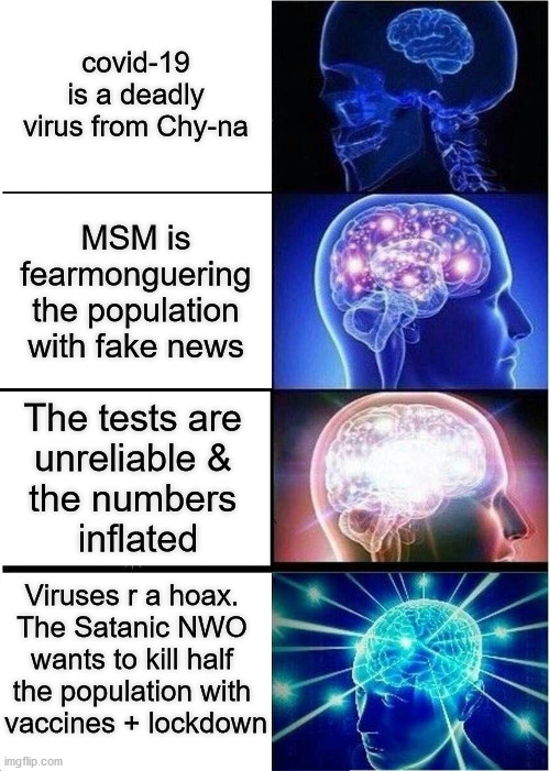 Stages of coronahoax awakening | covid-19 is a deadly virus from Chy-na; MSM is fearmonguering the population with fake news; The tests are 
unreliable & 
the numbers 
inflated; Viruses r a hoax. 
The Satanic NWO 
wants to kill half 
the population with 
vaccines + lockdown | image tagged in memes,expanding brain,covid-19,coronavirus meme,nwo,truth hurts | made w/ Imgflip meme maker