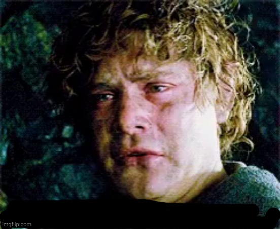 Samwise you don't mean that | image tagged in samwise you don't mean that | made w/ Imgflip meme maker