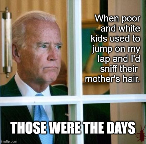Sad Joe Biden | THOSE WERE THE DAYS When poor and white kids used to jump on my lap and I'd sniff their 
mother's hair. | image tagged in sad joe biden | made w/ Imgflip meme maker