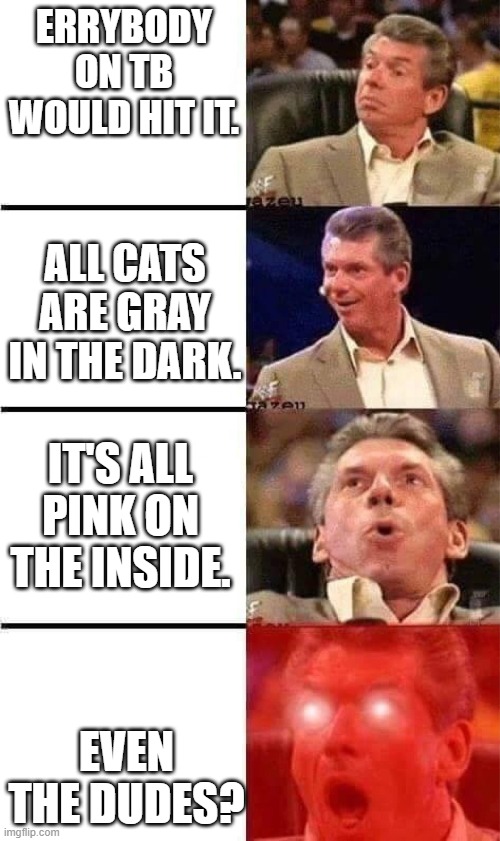 4 TBOT | ERRYBODY ON TB WOULD HIT IT. ALL CATS ARE GRAY IN THE DARK. IT'S ALL PINK ON THE INSIDE. EVEN THE DUDES? | image tagged in vince mcmahon reaction w/glowing eyes | made w/ Imgflip meme maker