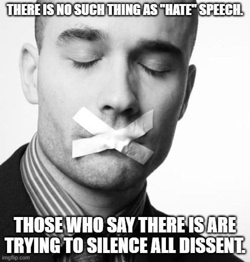 "Hate" Speech Is Nothing More Than Speech YOU Don't Like | THERE IS NO SUCH THING AS "HATE" SPEECH. THOSE WHO SAY THERE IS ARE TRYING TO SILENCE ALL DISSENT. | image tagged in hate speech,free speech,defend speech | made w/ Imgflip meme maker