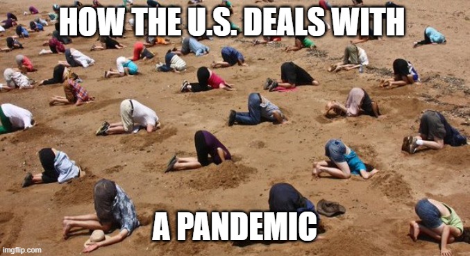 covid-19 response | HOW THE U.S. DEALS WITH; A PANDEMIC | image tagged in heads in the sand | made w/ Imgflip meme maker