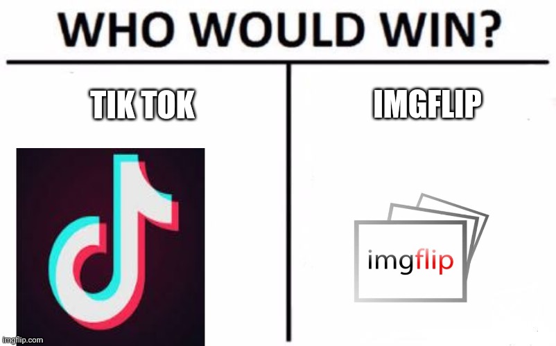 Who Would Win? Meme | IMGFLIP; TIK TOK | image tagged in memes,who would win | made w/ Imgflip meme maker