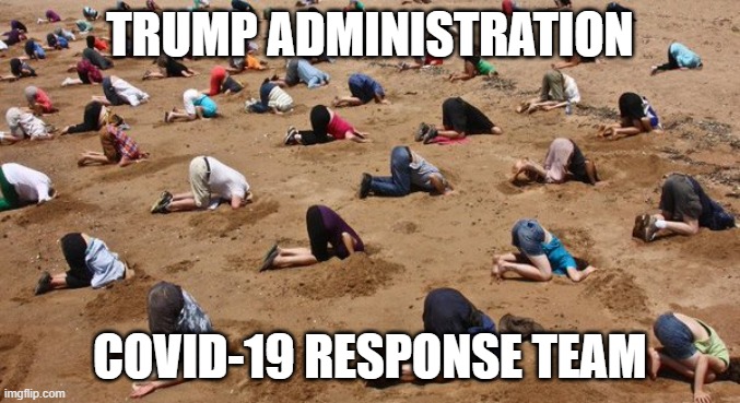 covid-19 response | TRUMP ADMINISTRATION; COVID-19 RESPONSE TEAM | image tagged in heads in the sand | made w/ Imgflip meme maker