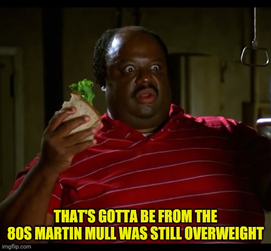 THAT'S GOTTA BE FROM THE 80S MARTIN MULL WAS STILL OVERWEIGHT | made w/ Imgflip meme maker