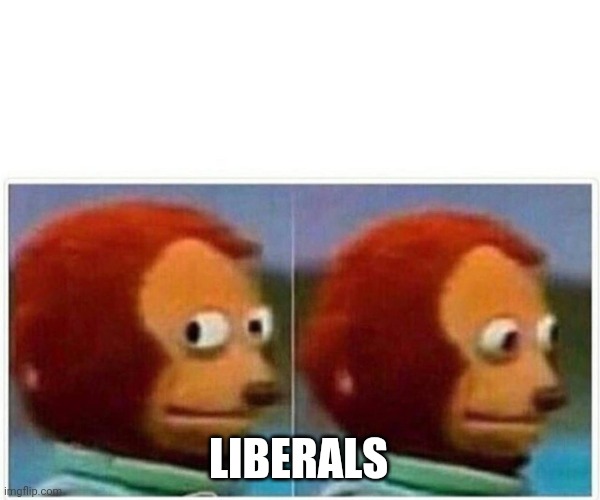 Monkey Puppet Meme | LIBERALS | image tagged in memes,monkey puppet | made w/ Imgflip meme maker