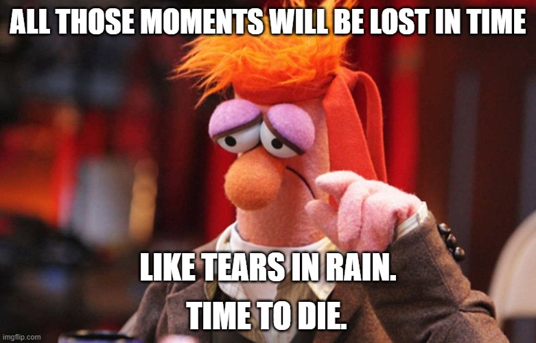Beeker Runner | ALL THOSE MOMENTS WILL BE LOST IN TIME; LIKE TEARS IN RAIN. TIME TO DIE. | image tagged in beeker,blade runner | made w/ Imgflip meme maker