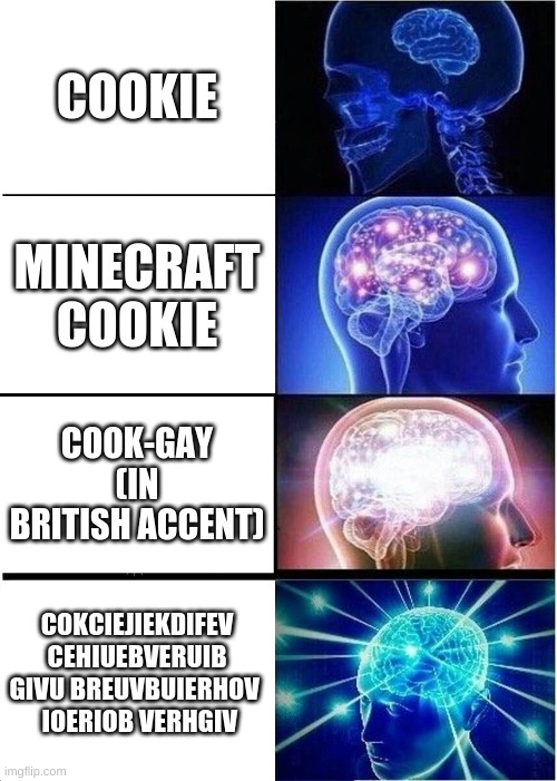 what is this. | COOKIE; MINECRAFT COOKIE; COOK-GAY (IN BRITISH ACCENT); COKCIEJIEKDIFEV CEHIUEBVERUIB GIVU BREUVBUIERHOV 
 IOERIOB VERHGIV | image tagged in memes,expanding brain,minecraft,cookies | made w/ Imgflip meme maker