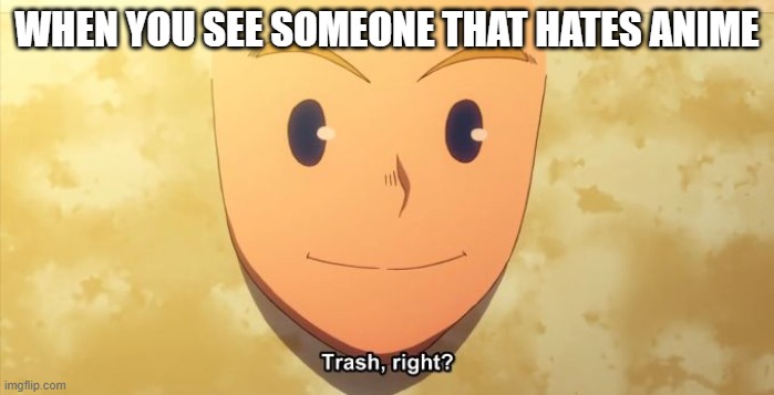 trash right | WHEN YOU SEE SOMEONE THAT HATES ANIME | image tagged in trash right,my hero academia,anime,animeme,anime meme | made w/ Imgflip meme maker