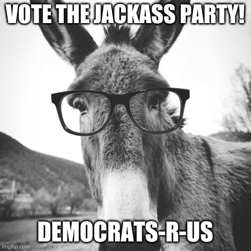 smart ass | VOTE THE JACKASS PARTY! DEMOCRATS-R-US | image tagged in smart ass | made w/ Imgflip meme maker