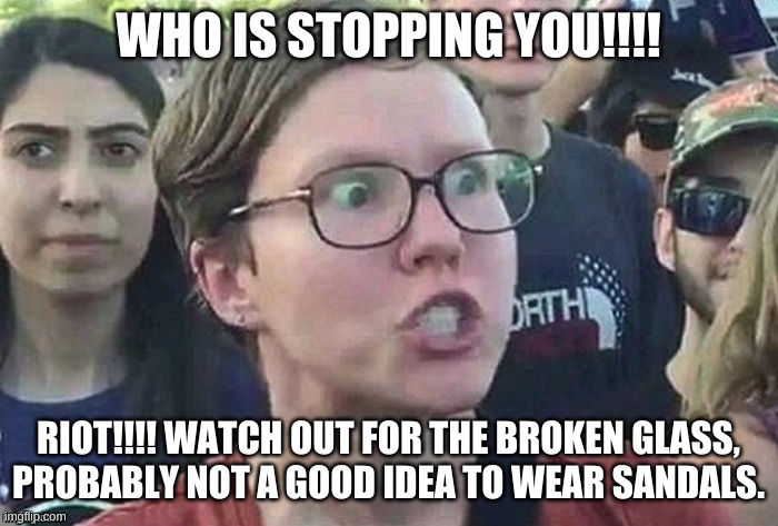 Triggered snowflake | WHO IS STOPPING YOU!!!! RIOT!!!! WATCH OUT FOR THE BROKEN GLASS, PROBABLY NOT A GOOD IDEA TO WEAR SANDALS. | image tagged in triggered snowflake | made w/ Imgflip meme maker