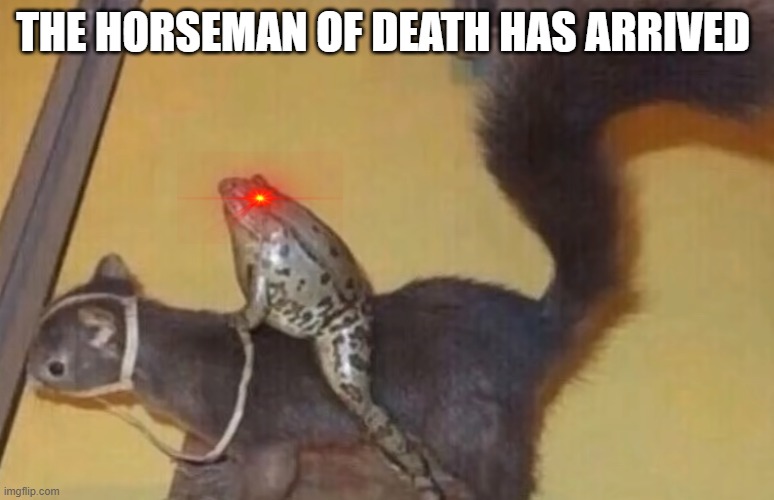 better not catch u boi | THE HORSEMAN OF DEATH HAS ARRIVED | image tagged in frog | made w/ Imgflip meme maker