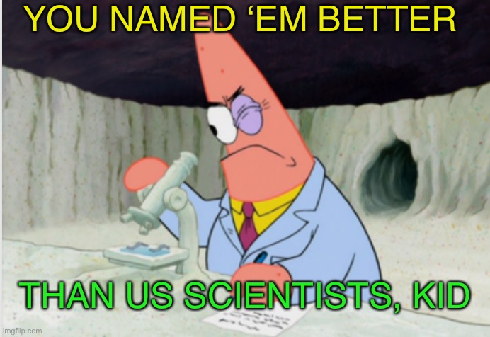 YOU NAMED ‘EM BETTER THAN US SCIENTISTS, KID | made w/ Imgflip meme maker