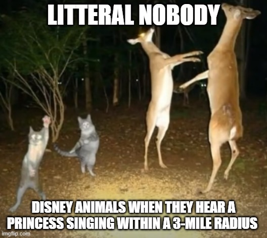 Disney Logic | LITTERAL NOBODY; DISNEY ANIMALS WHEN THEY HEAR A PRINCESS SINGING WITHIN A 3-MILE RADIUS | image tagged in animals | made w/ Imgflip meme maker