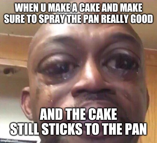 WHEN U MAKE A CAKE AND MAKE SURE TO SPRAY THE PAN REALLY GOOD; AND THE CAKE STILL STICKS TO THE PAN | image tagged in cake,sad | made w/ Imgflip meme maker