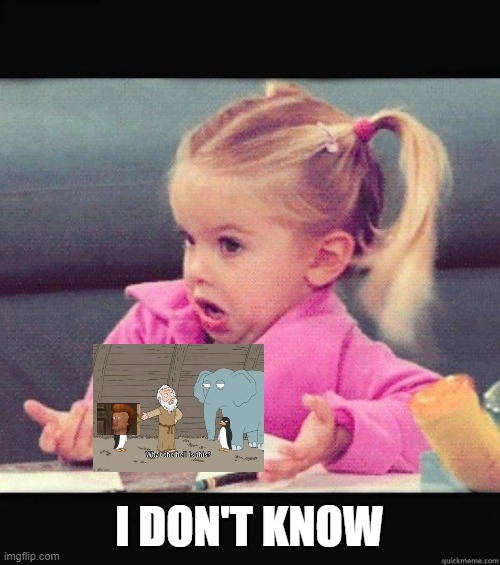 I dont know girl | I DON'T KNOW | image tagged in i dont know girl | made w/ Imgflip meme maker