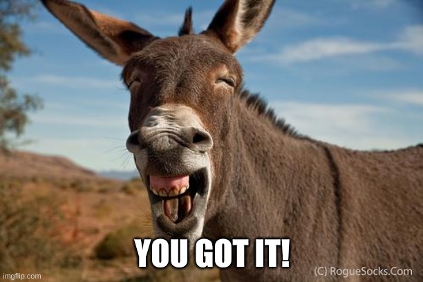 Donkey Jackass Braying | YOU GOT IT! | image tagged in donkey jackass braying | made w/ Imgflip meme maker
