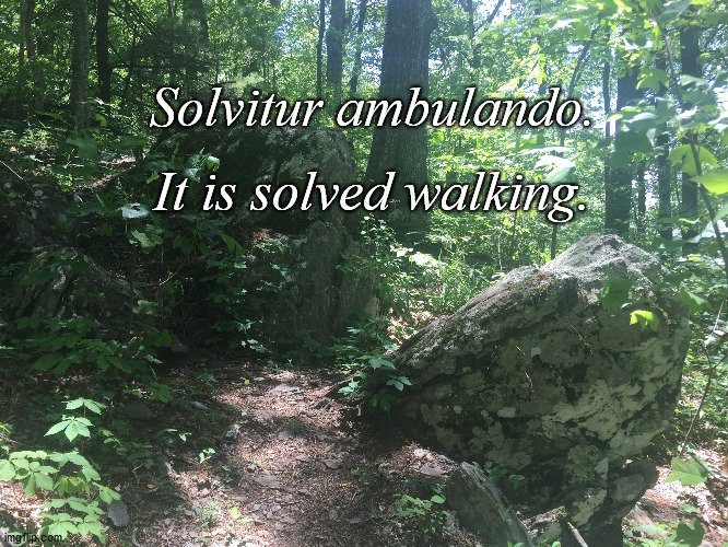 Walking | Solvitur ambulando. It is solved walking. | image tagged in hiking | made w/ Imgflip meme maker